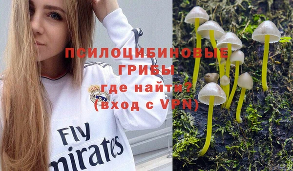 прущая мука Сосновый Бор