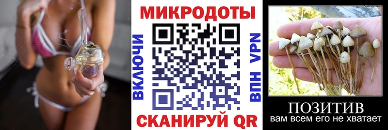 Псилоцибиновые грибы MAGIC MUSHROOMS  blacksprut tor  Балтийск 