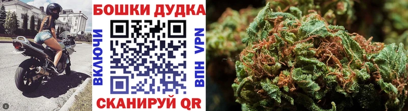 Бошки марихуана THC 21%  Балтийск 